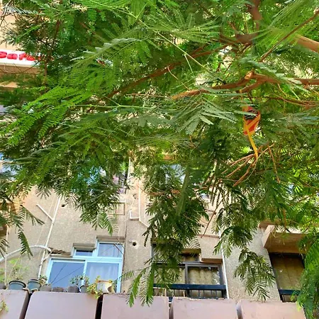 Luxury Apartment 2 Nasr City- City Stars-2
